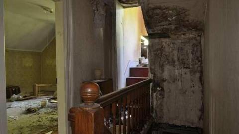 Feb/Aug 2012 - City-Orchards65.jpg