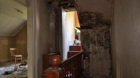 Feb/Aug 2012 - City-Orchards66.jpg