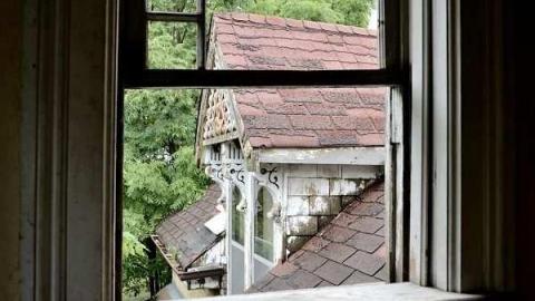 Feb/Aug 2012 - City-Orchards68.jpg