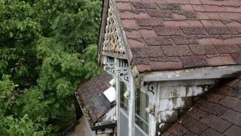 Feb/Aug 2012 - City-Orchards69.jpg