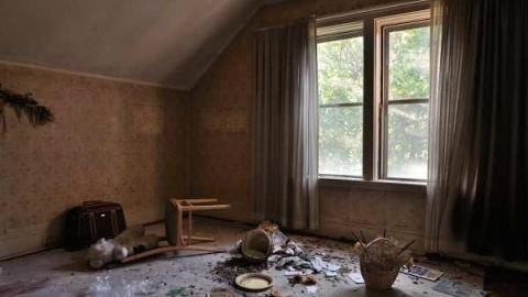 Feb/Aug 2012 - City-Orchards70.jpg