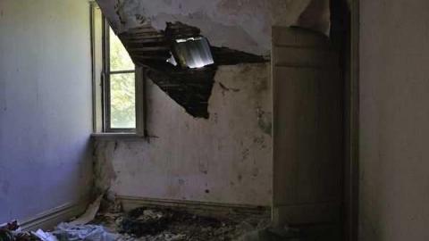 Feb/Aug 2012 - City-Orchards126.jpg