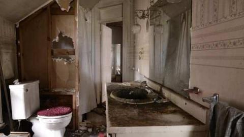 Feb/Aug 2012 - City-Orchards127.jpg