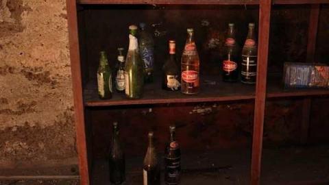 Feb/Aug 2012 - City-Orchards129.jpg