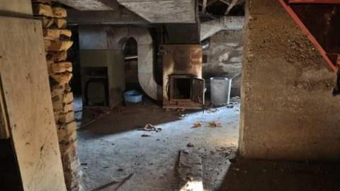 Feb/Aug 2012 - City-Orchards130.jpg