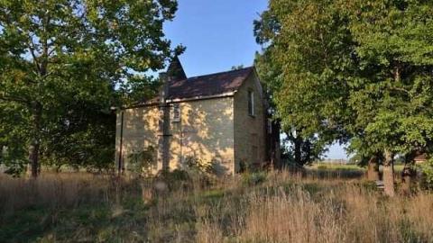 Feb/Aug 2012 - City-Orchards131.jpg