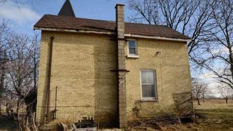 Feb/Aug 2012 - City-Orchards132.jpg