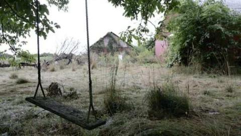 Feb/Aug 2012 - City-Orchards133.jpg