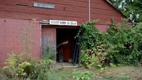 Feb/Aug 2012 - City-Orchards134.jpg