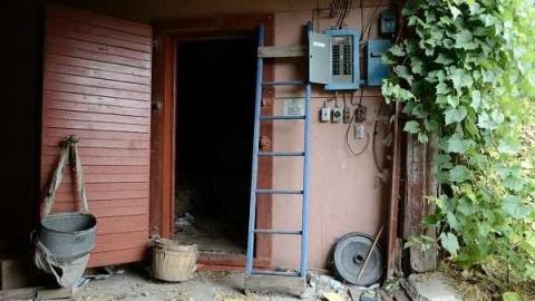 Feb/Aug 2012 - City-Orchards51.jpg