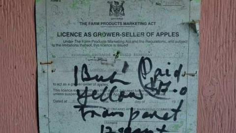 Feb/Aug 2012 - City-Orchards52.jpg