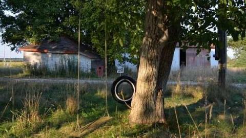 Feb/Aug 2012 - City-Orchards54.jpg