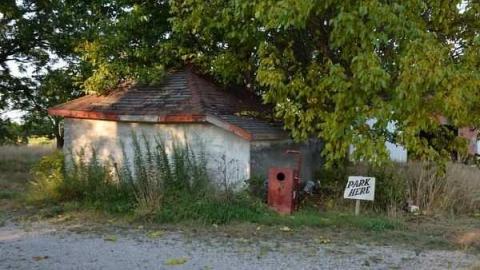 Feb/Aug 2012 - City-Orchards55.jpg