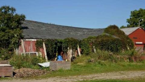 Feb/Aug 2012 - City-Orchards56.jpg