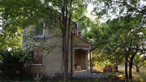 Feb/Aug 2012 - City-Orchards57.jpg