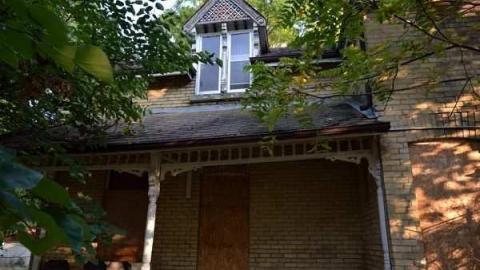 Feb/Aug 2012 - City-Orchards58.jpg