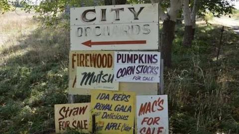 Feb/Aug 2012 - City-Orchards59.jpg