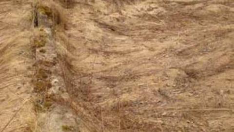 Gallery - DSC01940.jpg