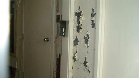 CFB Edgar-All That Remains - CFB-Edgar209.jpg