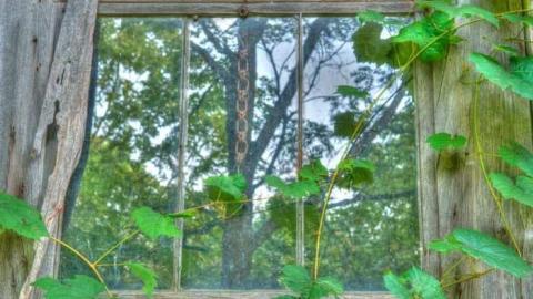 Duncrief: Sept 2012 cover photo