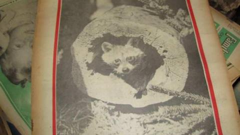 magazine house - 051.jpg