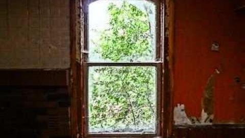 Sept 2012 - Woodbine-Farmhouse19.jpg