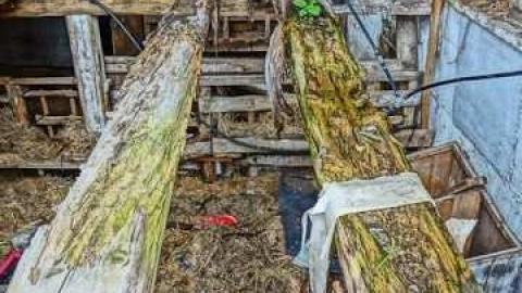 Sept 2012 - Woodbine-Farmhouse4.jpg