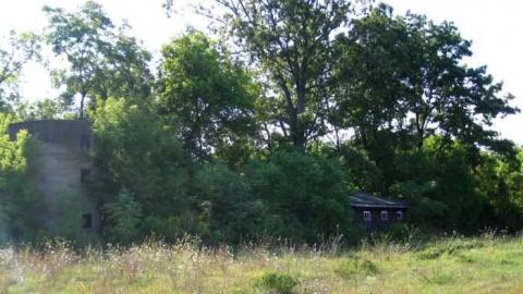 Jackson-Triggs Farm Remains - JacksonTriggs-Winery-Ruins7.jpg