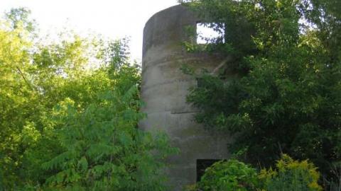 Jackson-Triggs Farm Remains - JacksonTriggs-Winery-Ruins10.jpg