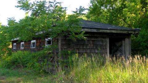 Jackson-Triggs Farm Remains - JacksonTriggs-Winery-Ruins3.jpg