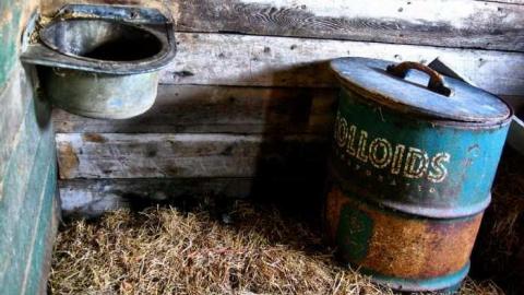 Jackson-Triggs Farm Remains - JacksonTriggs-Winery-Ruins11.jpg