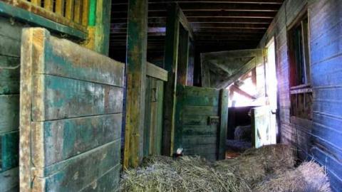 Jackson-Triggs Farm Remains - JacksonTriggs-Winery-Ruins4.jpg