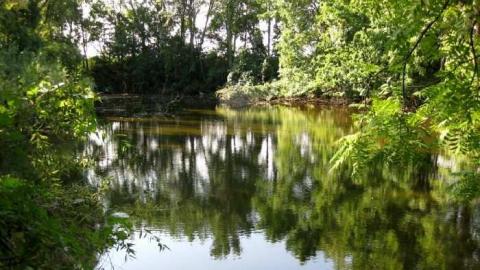 Jackson-Triggs Winery Ruins - Niagara-On-The-Lake, Ontario