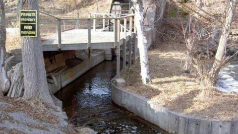 Gallery - Dartford-Mill4.jpg