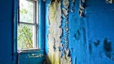 vivid rainstorm - DSC01658.jpg