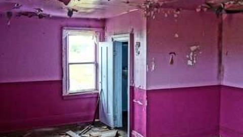 vivid rainstorm - DSC01660.jpg