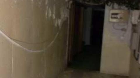 first visit - Garrys-Garden-Center9.jpg