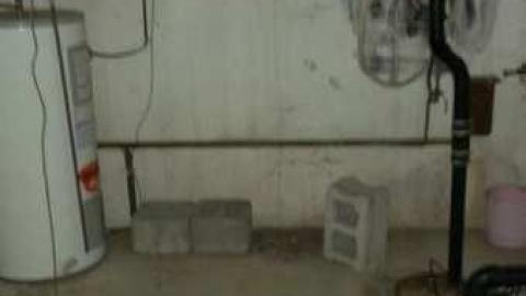 Garrys Garden Center photo 4