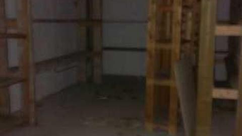 Garrys Garden Center photo 3