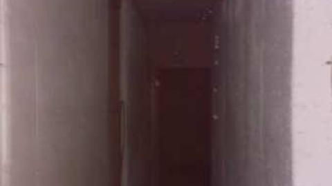 Garrys Garden Center photo 2