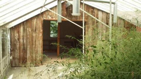 Sept. 2012 - Ross-Flowers-Garden-Centre7.jpg