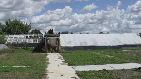 Sept. 2012 - Ross-Flowers-Garden-Centre11.jpg