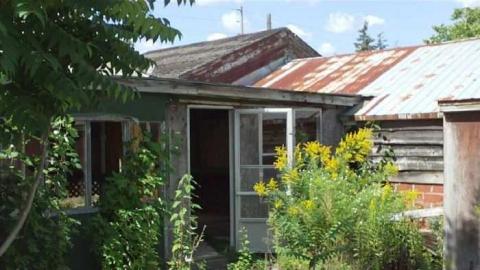 Ross' Flowers Garden Centre photo 2