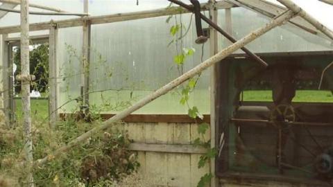 Sept. 2012 - Ross-Flowers-Garden-Centre9.jpg