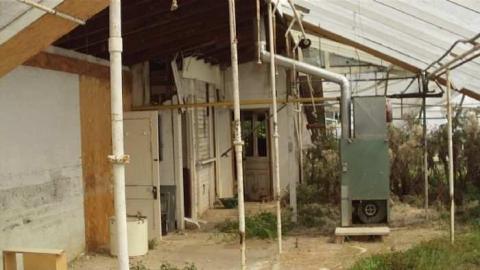 Ross' Flowers Garden Centre photo 5