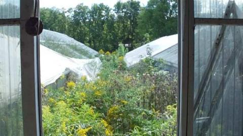 Sept. 2012 - Ross-Flowers-Garden-Centre30.jpg