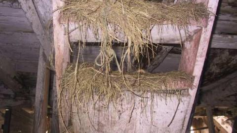 Photo from Exploration