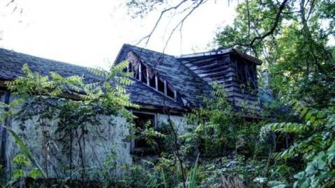 Photo from Spongia Floora