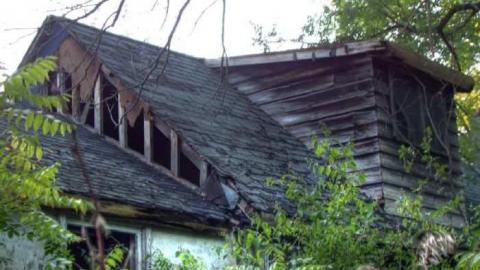 Spongia Floora - 1b.jpg