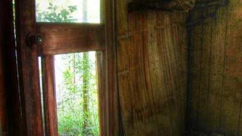 Spongia Floora - 2.jpg